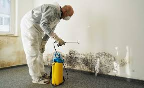 Man, WV Mold Remediation Company